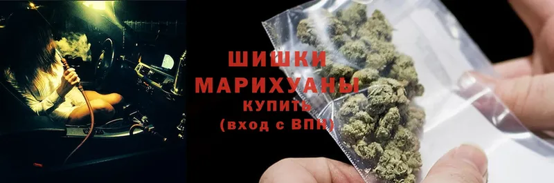 где найти наркотики  Балашов  МАРИХУАНА OG Kush 